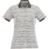 Elevate Women's Heather Grey/Grey Storm Emory Short Sleeve Polo 2 Elevate Women's Heather Grey/Grey Storm Emory Short Sleeve Polo -Elevate TM96510 Heather Grey Grey Storm F